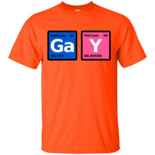 Load image into Gallery viewer, GaY T-Shirt