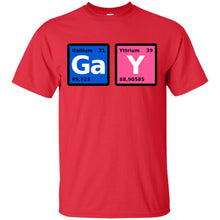 Load image into Gallery viewer, GaY T-Shirt