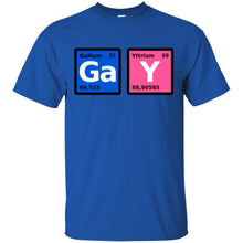 Load image into Gallery viewer, GaY T-Shirt